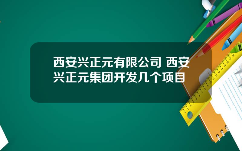 西安兴正元有限公司 西安兴正元集团开发几个项目